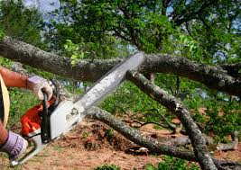 Best Firewood Processing and Delivery  in Combined Locks, WI